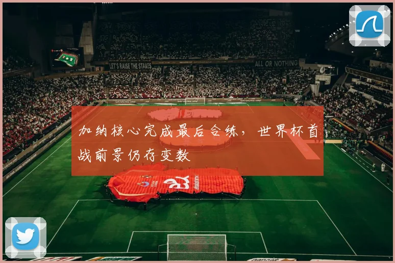 加纳核心完成最后合练，世界杯首战前景仍存变数